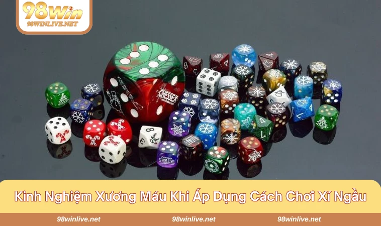 Cách Chơi Xí Ngầu Từ A-Z Cho Người Mới Lẫn Cao Thủ 326 Kinh nghiệm người chơi trước để lại