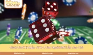 cách chơi xí ngầu