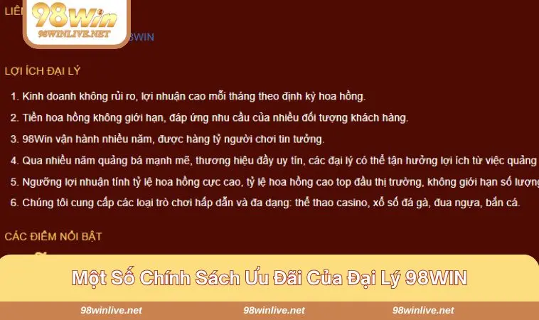 Đại Lý 98WIN 235 Chính sách ưu đãi phong phú - đa dạng - hiệu quả