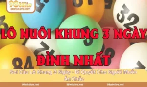soi cầu lô khung 3 ngày
